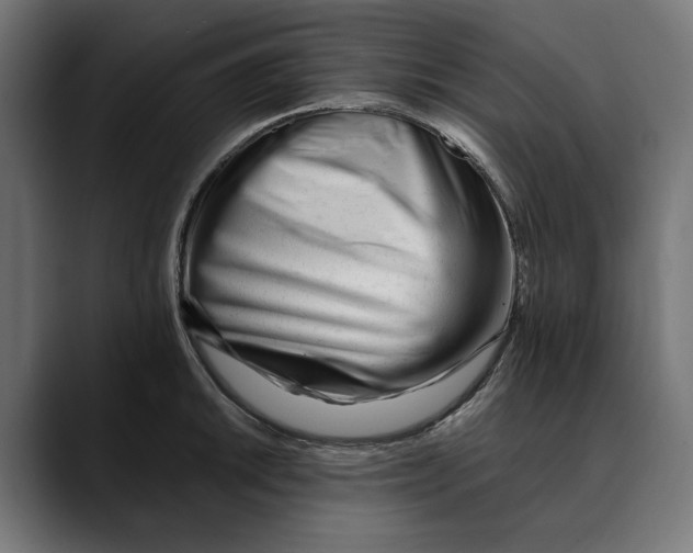 X0000088911046200707061342