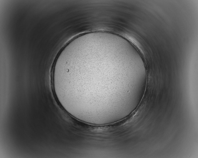 X0000088911047200707061342