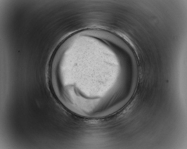 X0000088911048200707061342