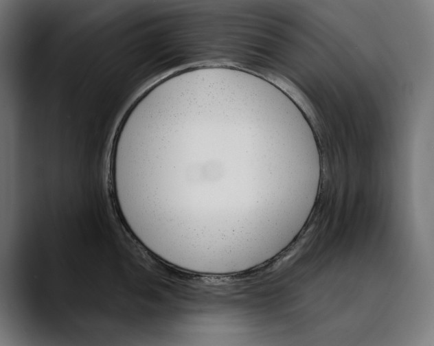 X0000088911052200707061342