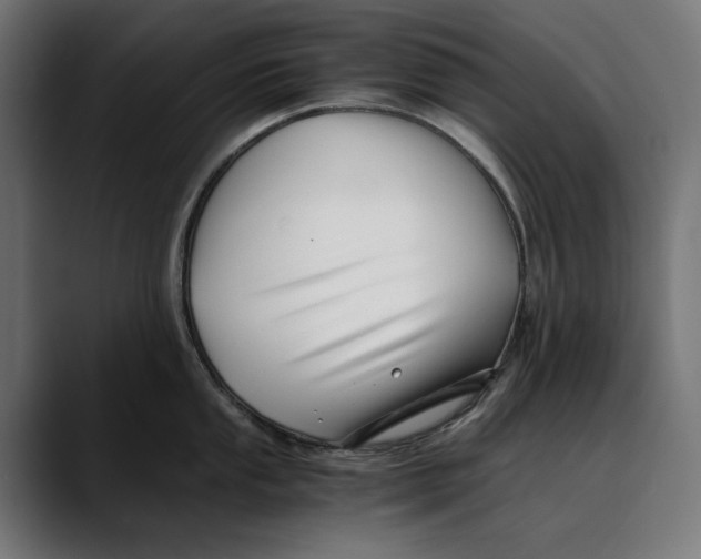 X0000088911053200707061342