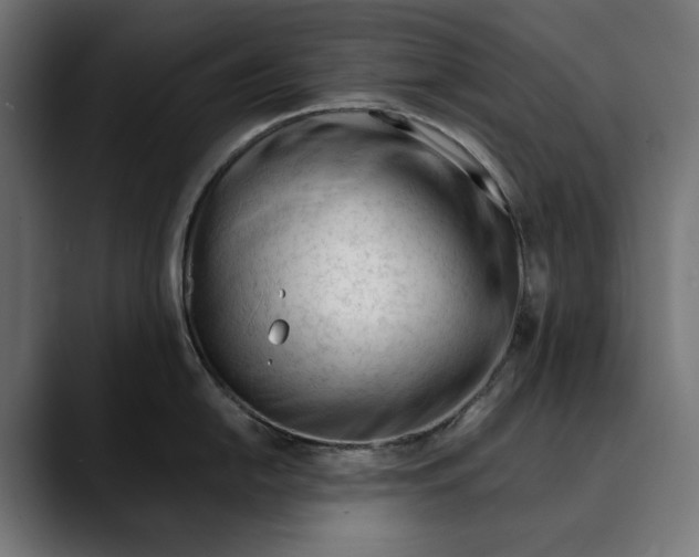 X0000088911054200707061342