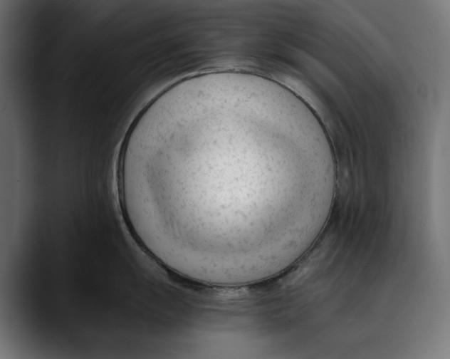 X0000088911055200707061342