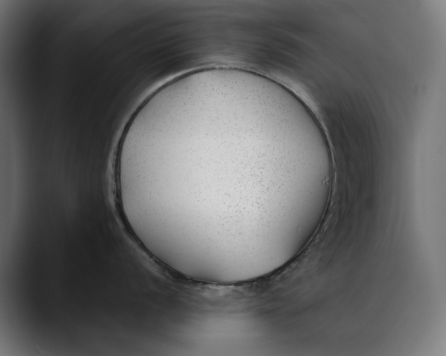 X0000088911056200707061342