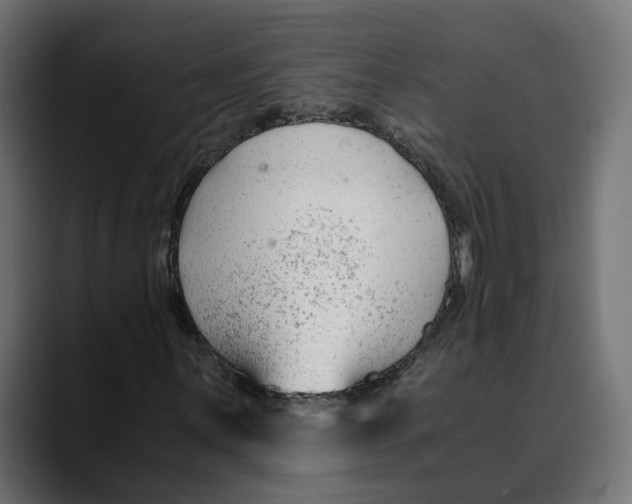 X0000088911059200707061341