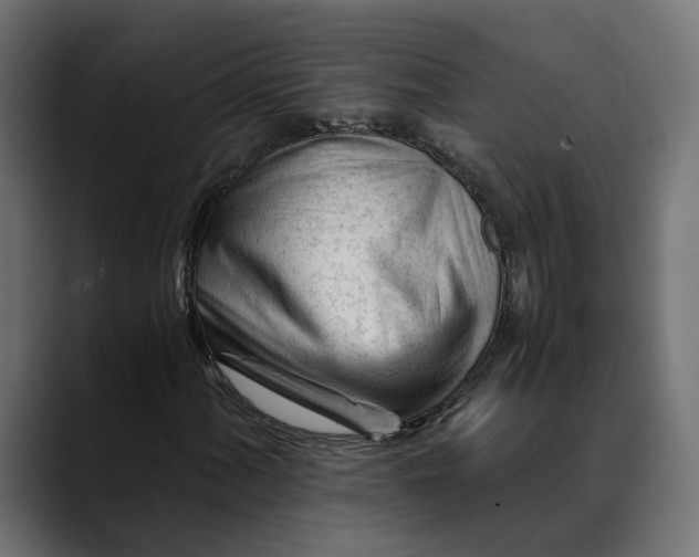 X0000088911060200707061341