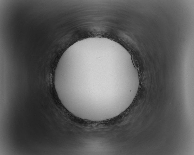 X0000088911061200707061341