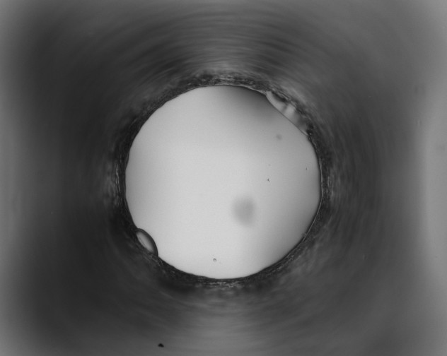 X0000088911062200707061341