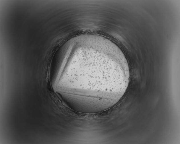 X0000088911063200707061341