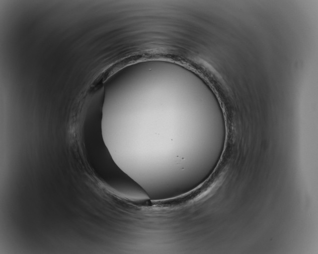 X0000088911065200707061341