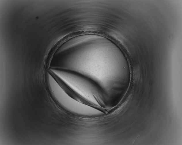 X0000088911066200707061341