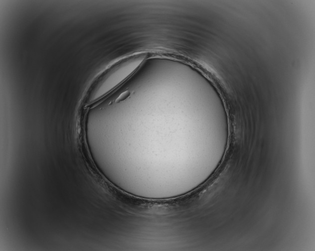 X0000088911070200707061341