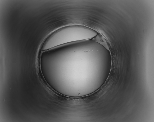 X0000088911072200707061341