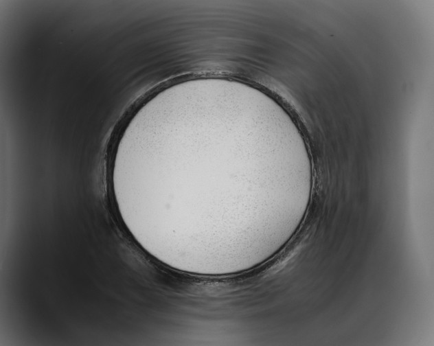 X0000088911075200707061341