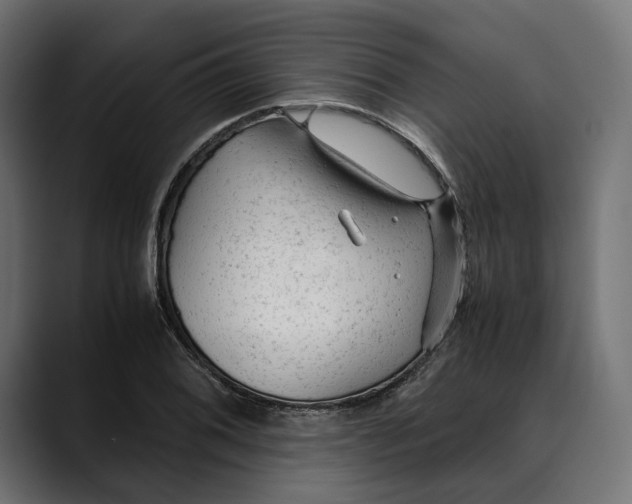 X0000088911076200707061341