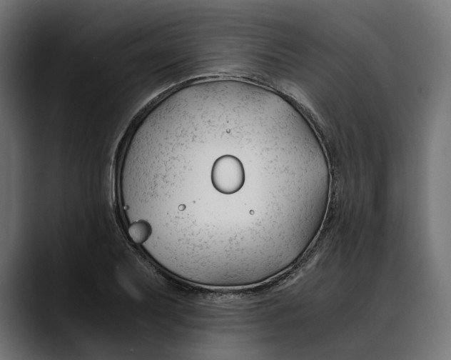 X0000088911079200707061341