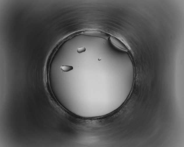 X0000088911080200707061341