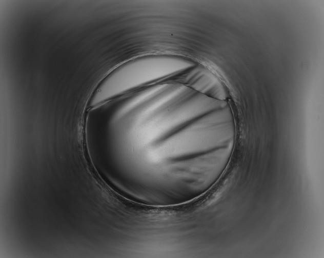 X0000088911081200707061341