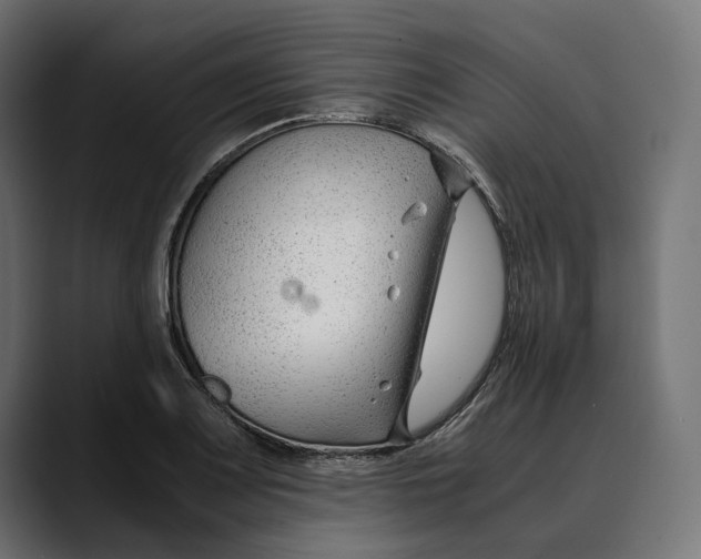 X0000088911083200707061341