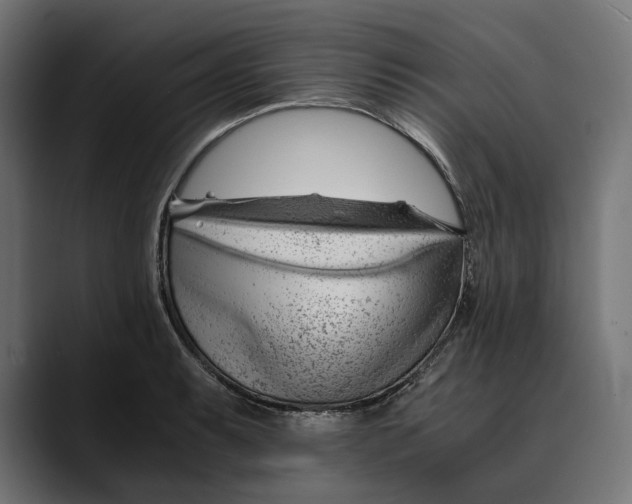 X0000088911087200707061341