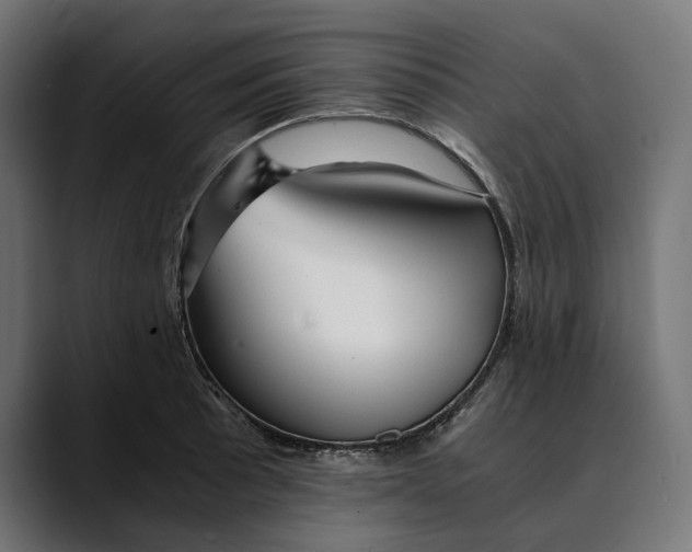 X0000088911089200707061341