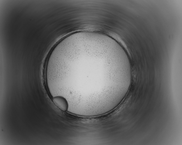 X0000088911091200707061341