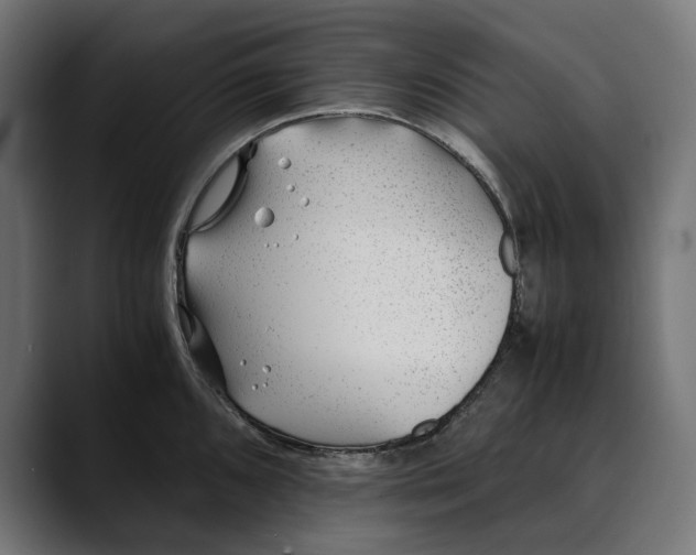 X0000088911096200707061341