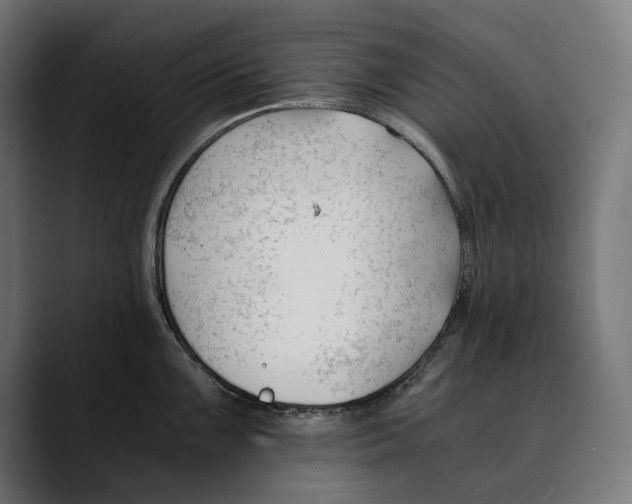 X0000088911099200707061341