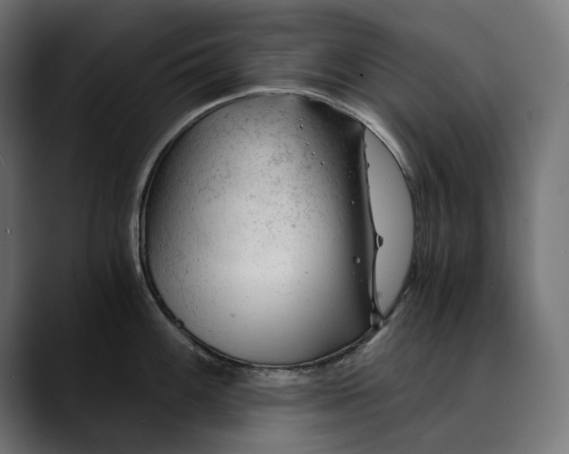 X0000088911100200707061341