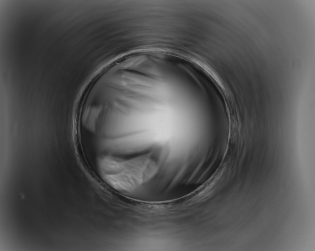 X0000088911101200707061341