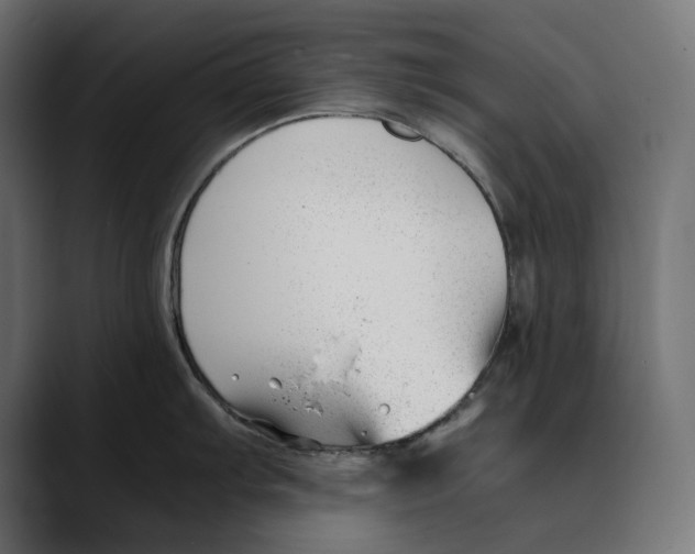 X0000088911103200707061341