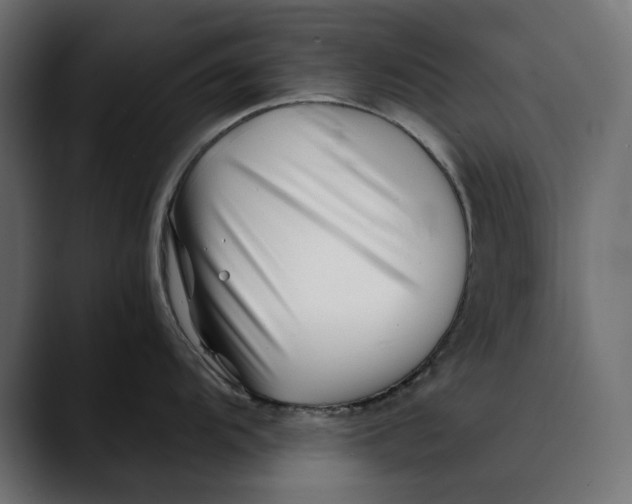 X0000088911104200707061341