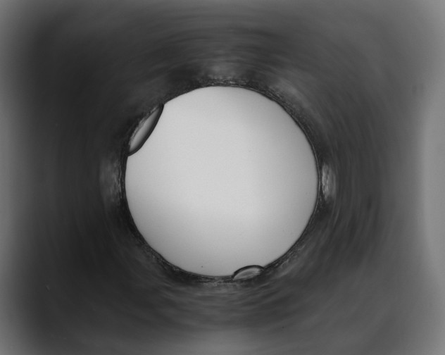 X0000088911107200707061340