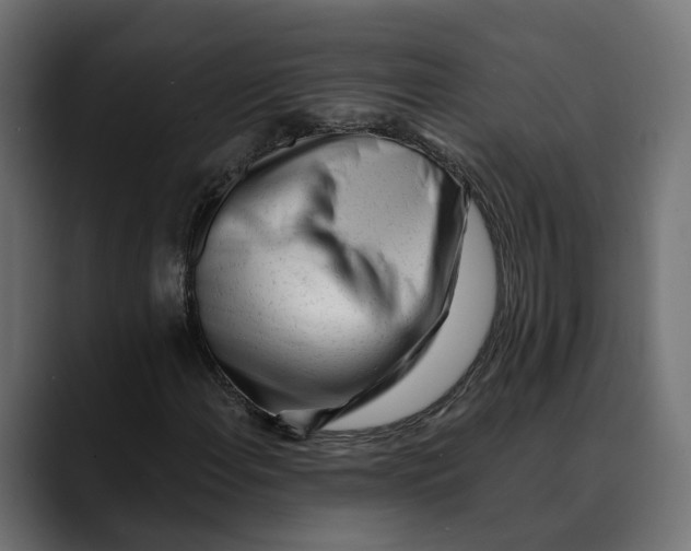 X0000088911108200707061340