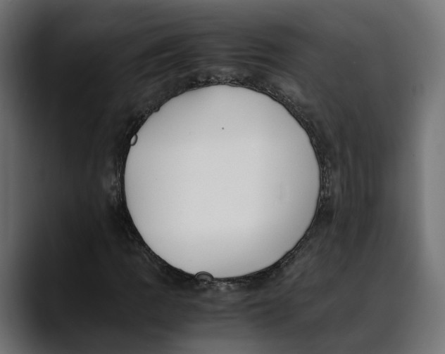 X0000088911109200707061340