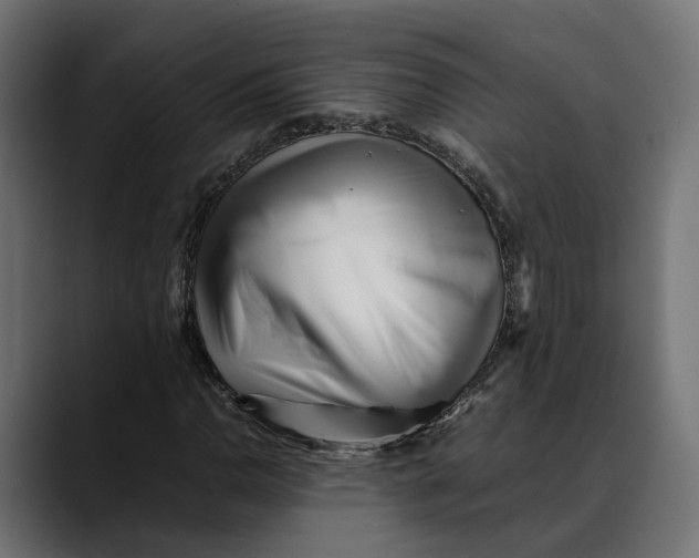 X0000088911110200707061340