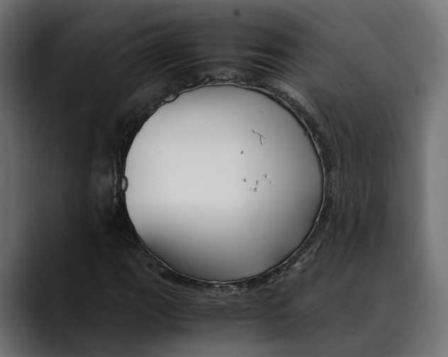 X0000088911111200707061340