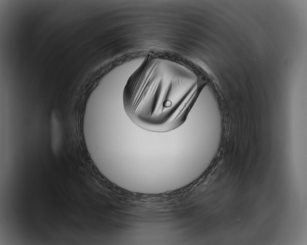 X0000088911112200707061340