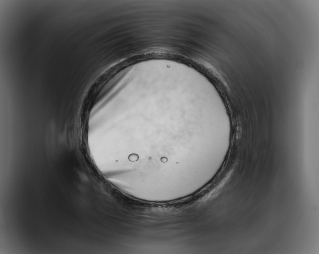 X0000088911117200707061340