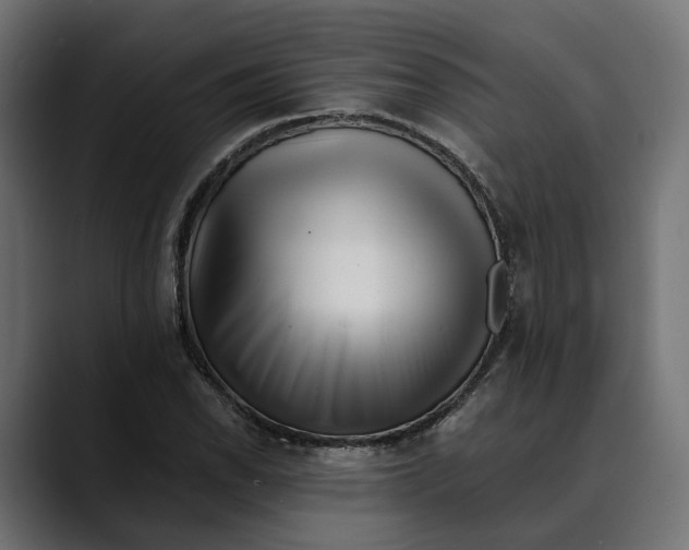 X0000088911118200707061340