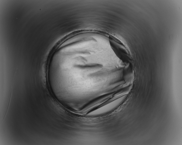 X0000088911120200707061340