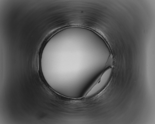 X0000088911123200707061340