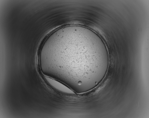 X0000088911125200707061340