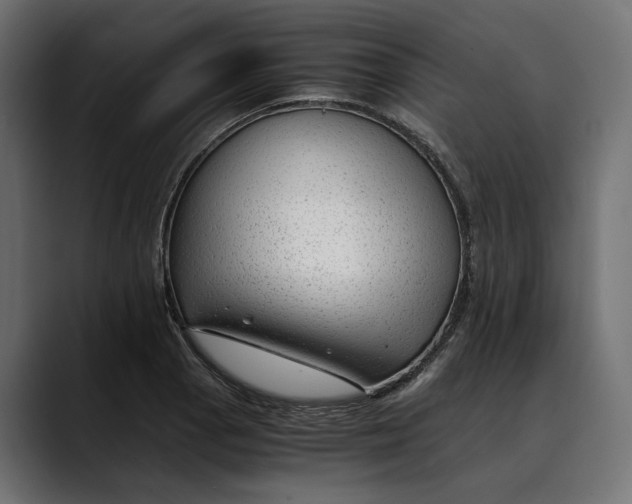 X0000088911129200707061340