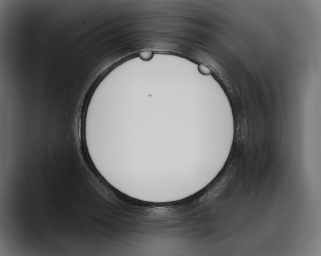 X0000088911130200707061340