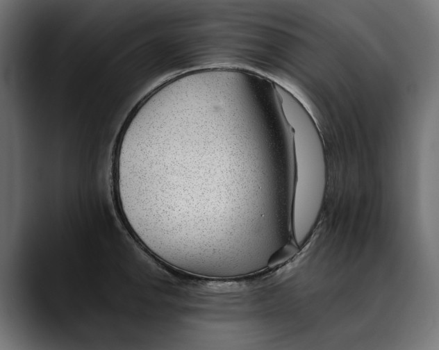 X0000088911142200707061341