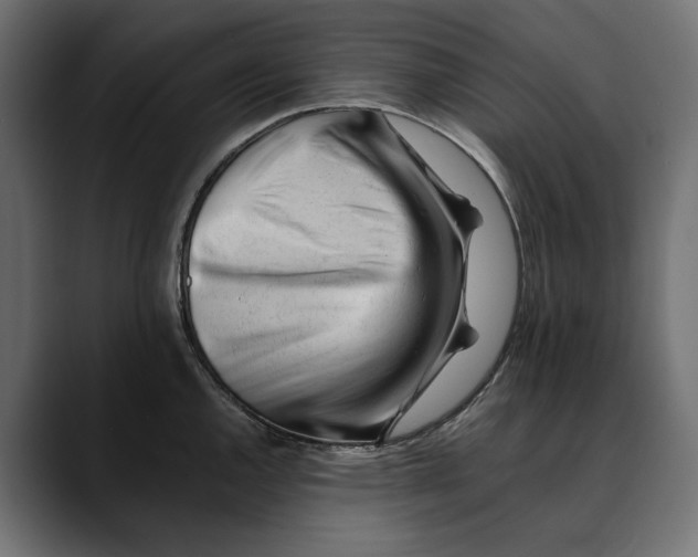 X0000088911144200707061341