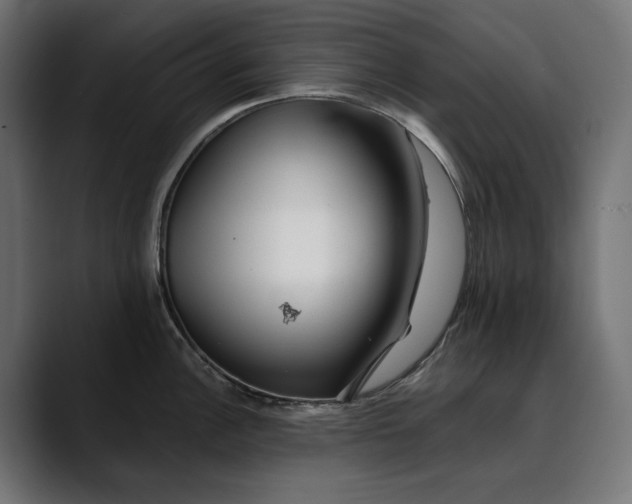 X0000088911148200707061341