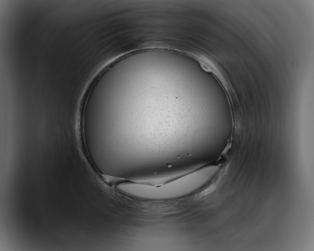 X0000088911149200707061341