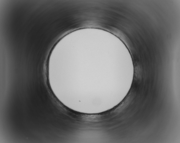 X0000088911150200707061341